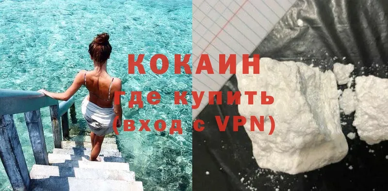 где купить наркоту  Пучеж  Cocaine Fish Scale 